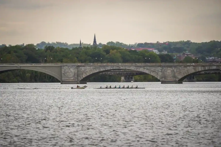 Joutes sportives : comprendre la joute nautique et ses règles