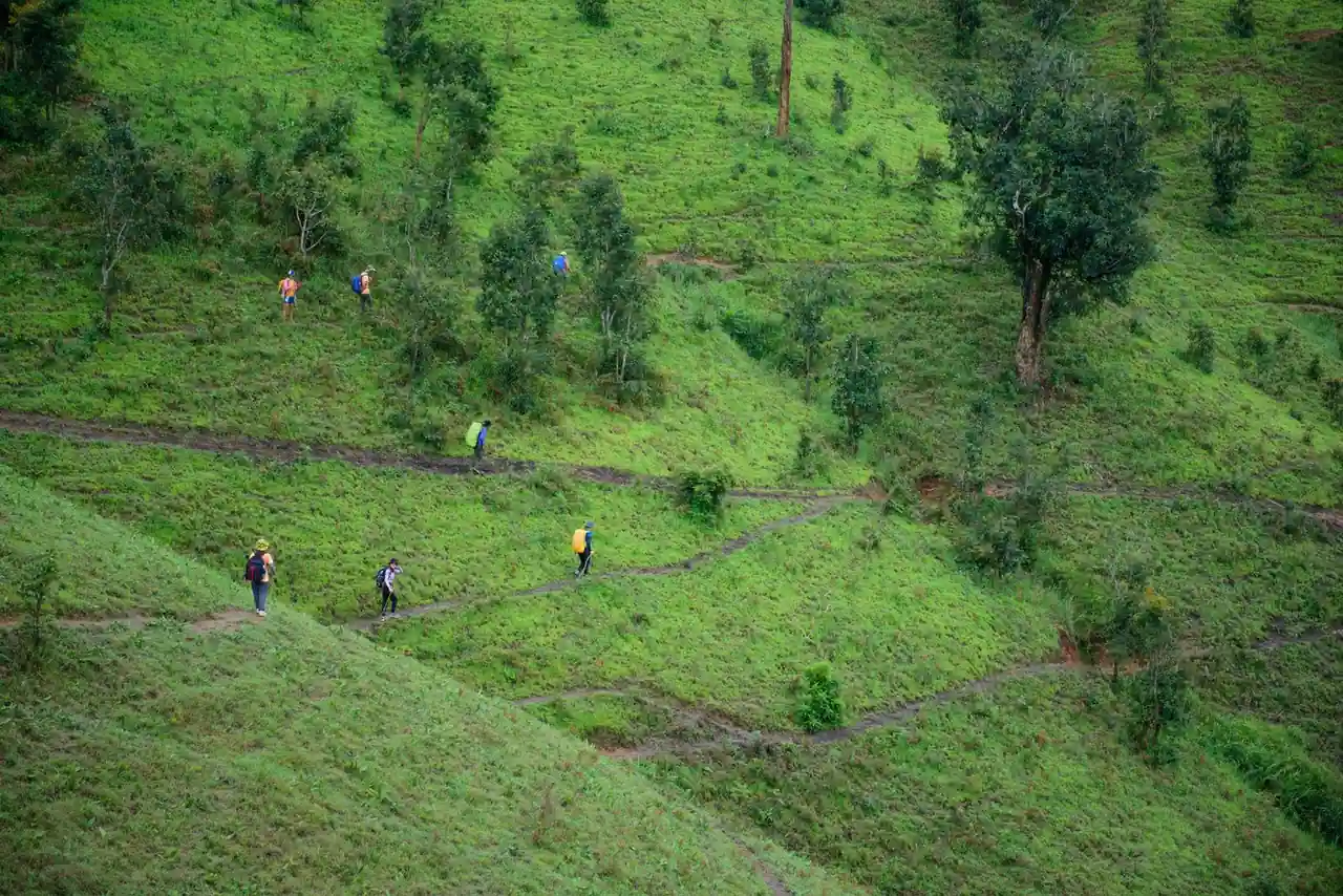 Groupe de randonneurs marchant sur un sentier de montagne ensoleillé pendant un séjour sportif en plein air