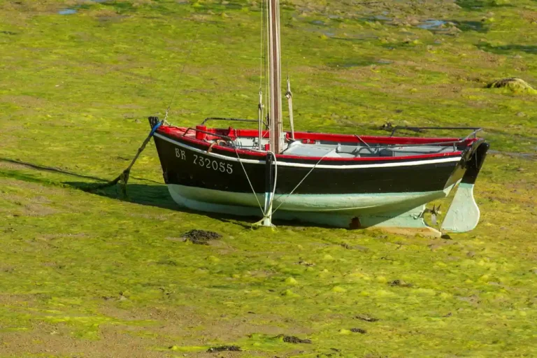 Nautisme à Carantec : lire la marée avant de sortir